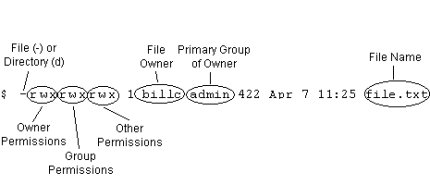 Figure 1 - Permissions in Directory Listing