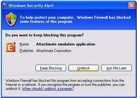 Figure 1: Windows Security Alert