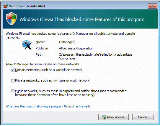 Figure 1 - Windows 7 Windows Security Alert Dialog Box
